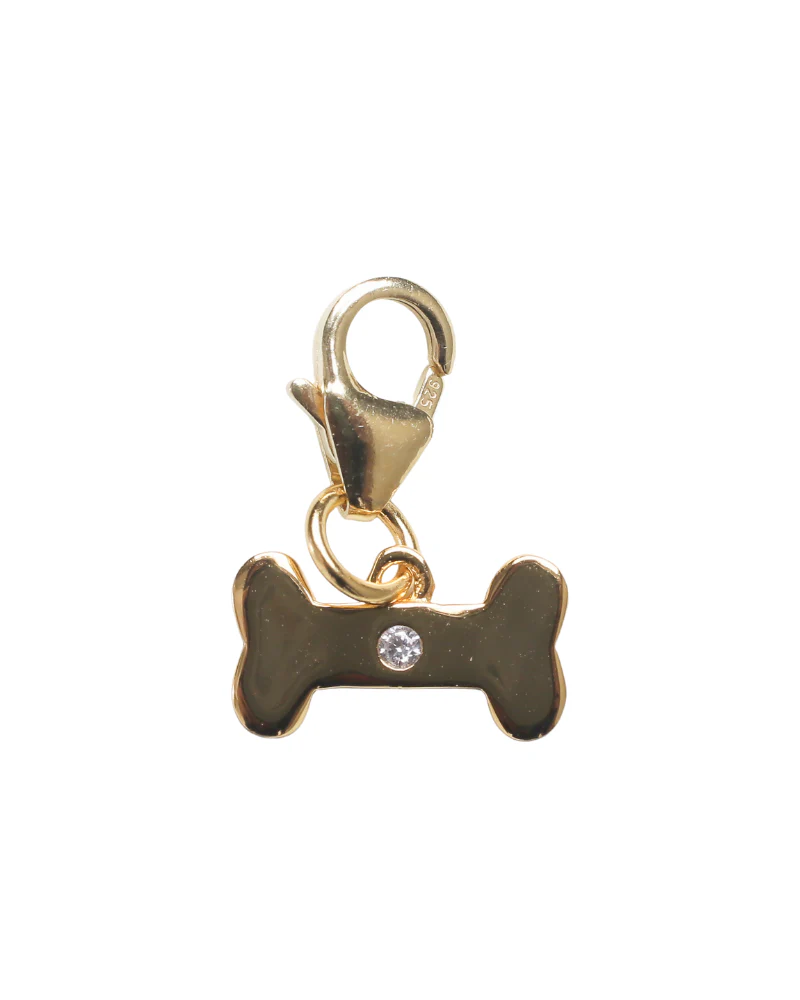 Charm Le petit chien