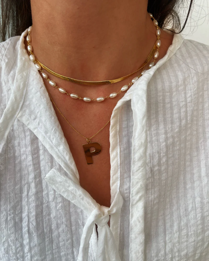 Chocker Dina Acero - Image 4