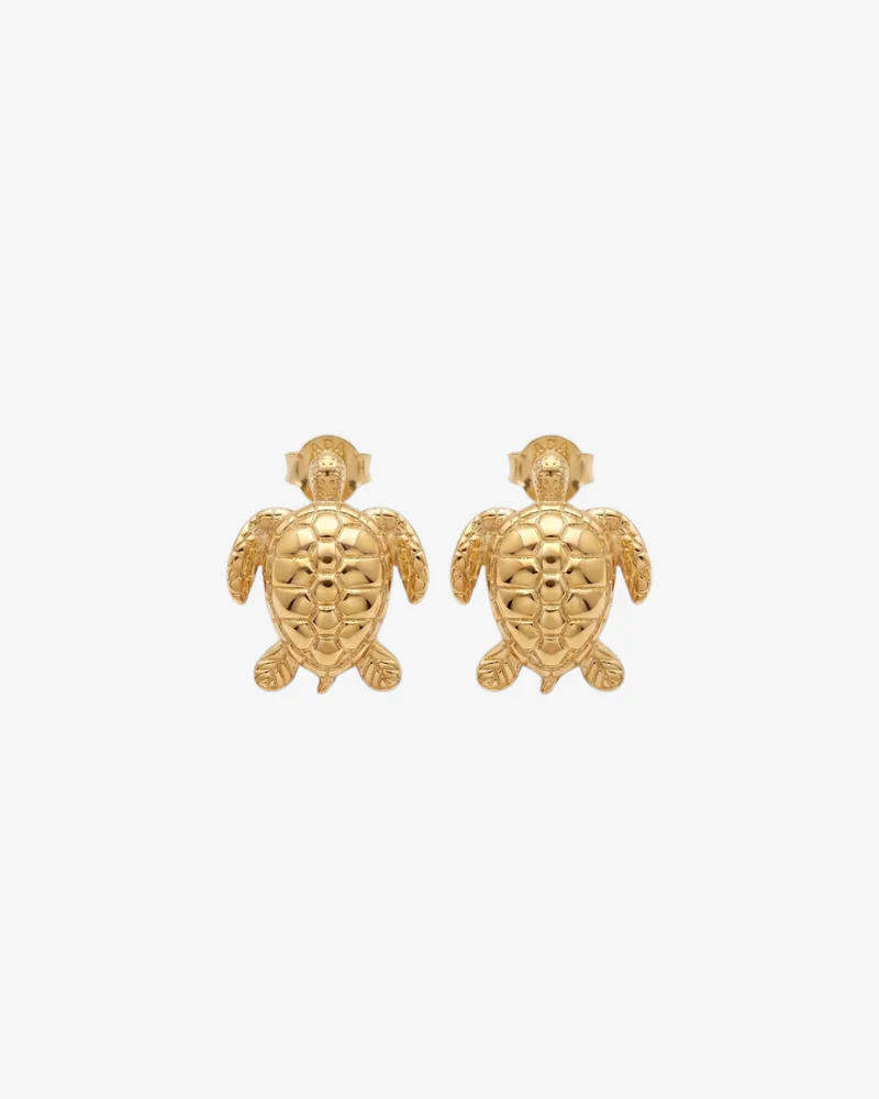 Pendientes tortuga